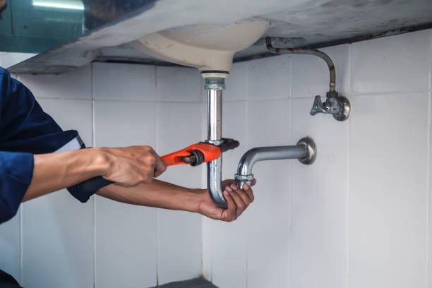 Best Residential Plumbing Services  in Kearney, MO