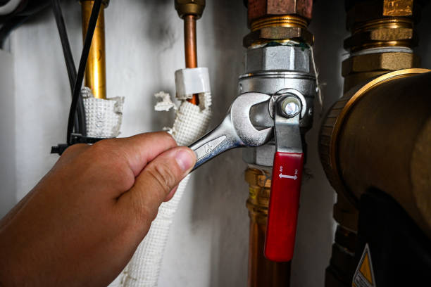 Best Plumbing Services Near Me  in Kearney, MO